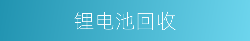 锂电池回收的同义词