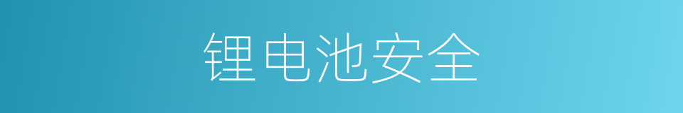 锂电池安全的同义词