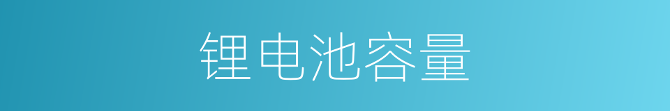 锂电池容量的同义词