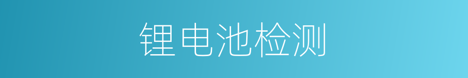 锂电池检测的同义词