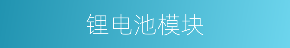 锂电池模块的同义词