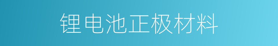 锂电池正极材料的同义词