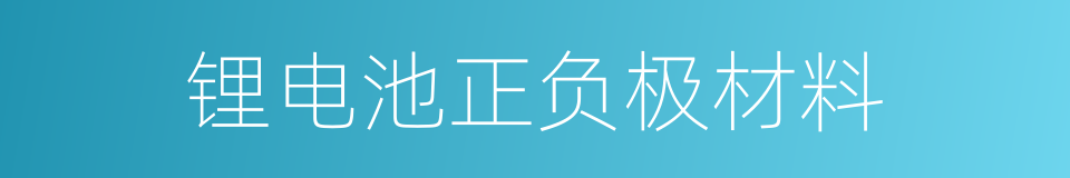 锂电池正负极材料的同义词