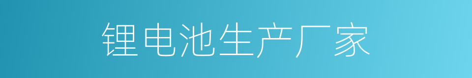 锂电池生产厂家的同义词