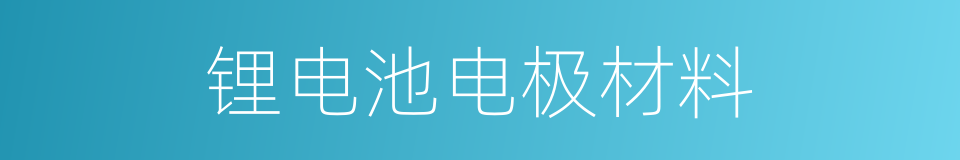 锂电池电极材料的同义词