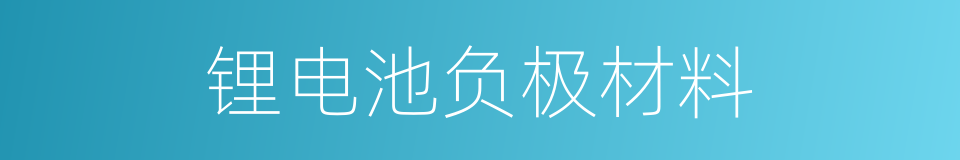 锂电池负极材料的同义词