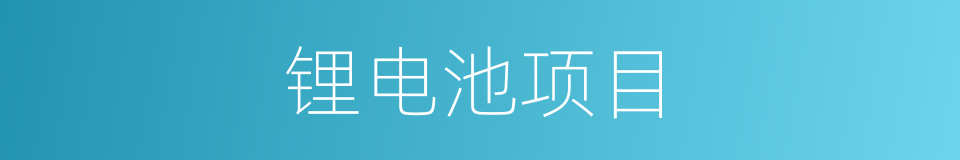 锂电池项目的同义词