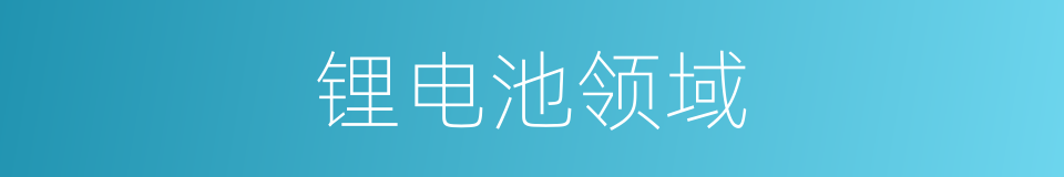 锂电池领域的同义词