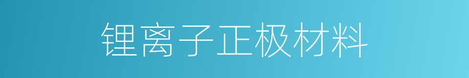 锂离子正极材料的同义词