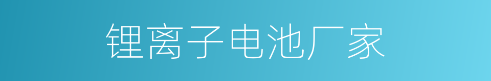 锂离子电池厂家的同义词