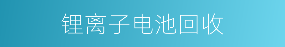 锂离子电池回收的同义词