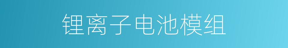 锂离子电池模组的同义词