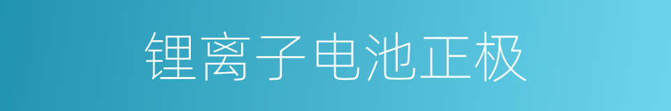 锂离子电池正极的同义词