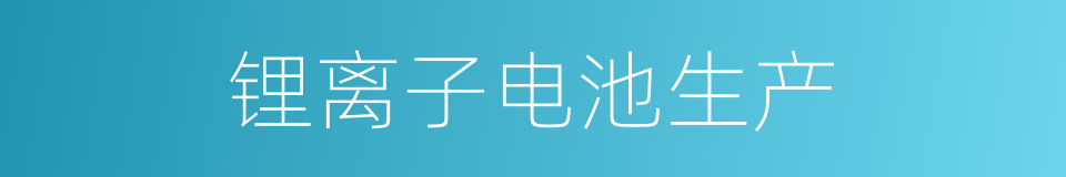 锂离子电池生产的同义词