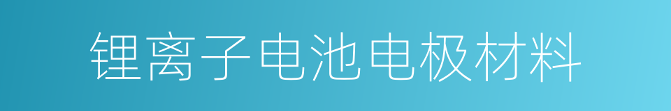 锂离子电池电极材料的同义词