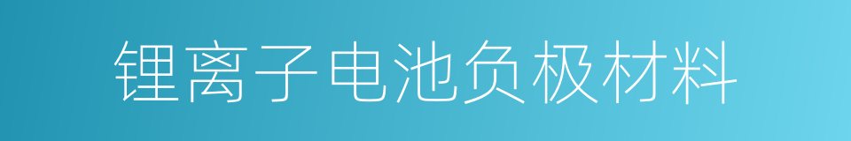 锂离子电池负极材料的同义词