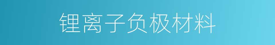 锂离子负极材料的同义词