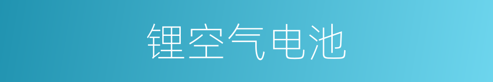 锂空气电池的同义词