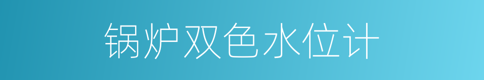 锅炉双色水位计的同义词
