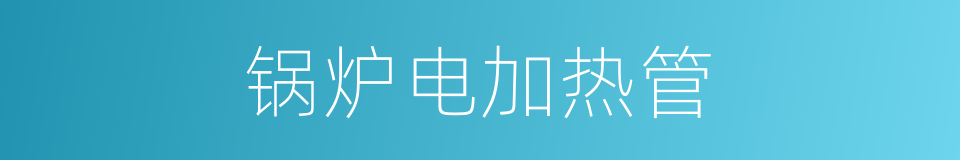 锅炉电加热管的同义词