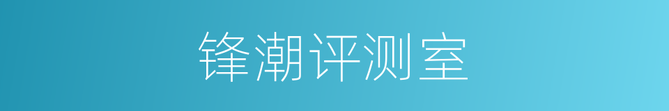 锋潮评测室的同义词