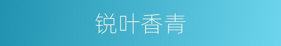 锐叶香青的同义词