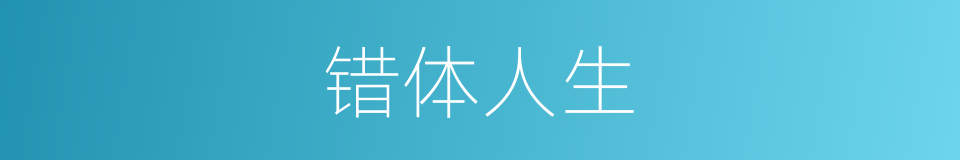 错体人生的同义词