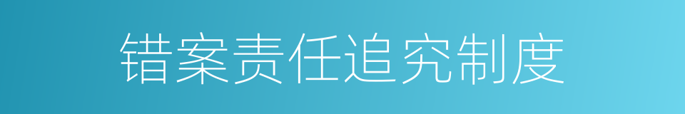 错案责任追究制度的同义词