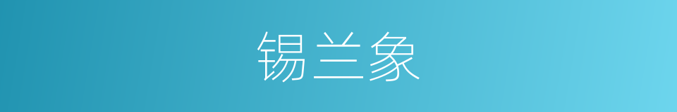 锡兰象的同义词