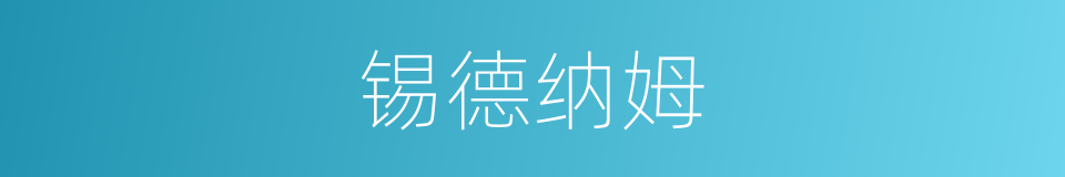 锡德纳姆的同义词