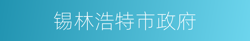 锡林浩特市政府的同义词