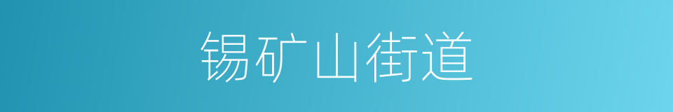 锡矿山街道的同义词