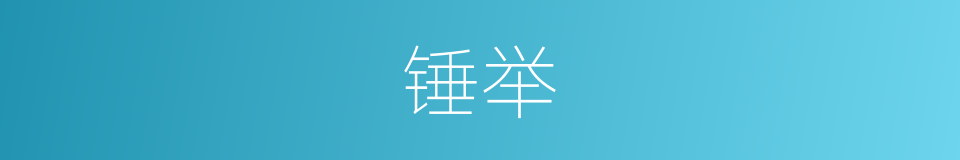 锤举的同义词