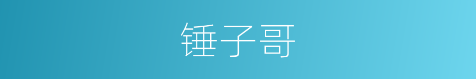 锤子哥的同义词