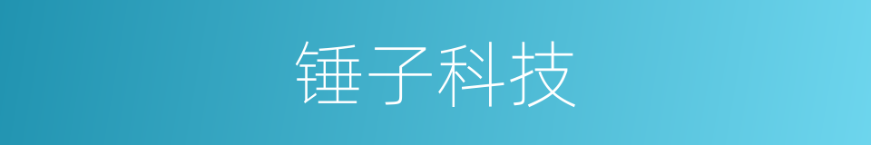 锤子科技的同义词