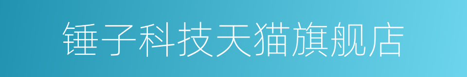 锤子科技天猫旗舰店的同义词