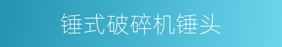 锤式破碎机锤头的同义词