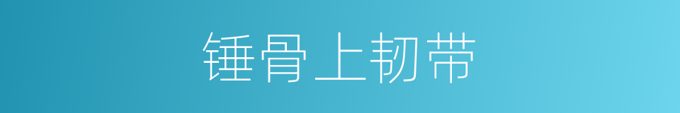 锤骨上韧带的同义词