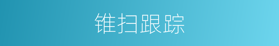 锥扫跟踪的同义词
