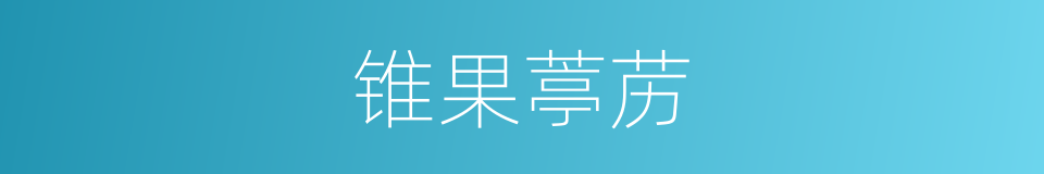 锥果葶苈的同义词