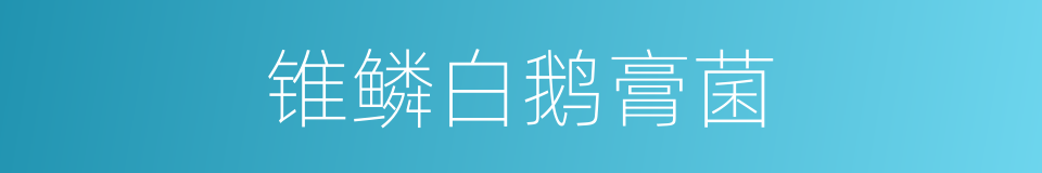 锥鳞白鹅膏菌的同义词