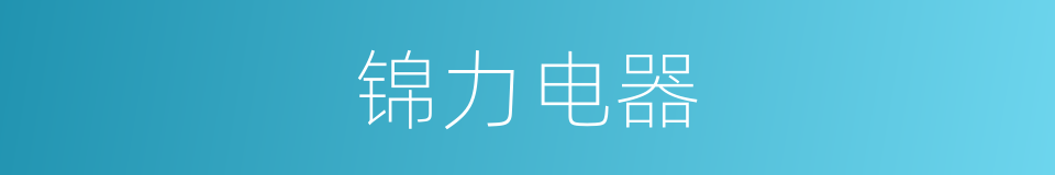 锦力电器的同义词