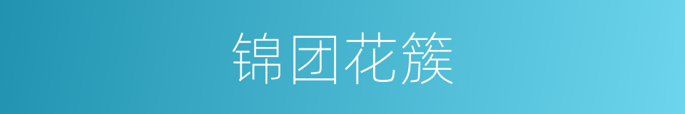 锦团花簇的意思