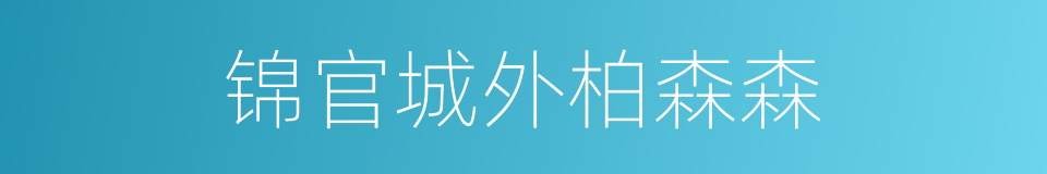 锦官城外柏森森的同义词