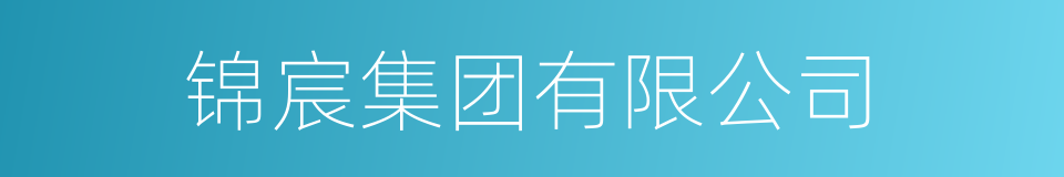 锦宸集团有限公司的同义词