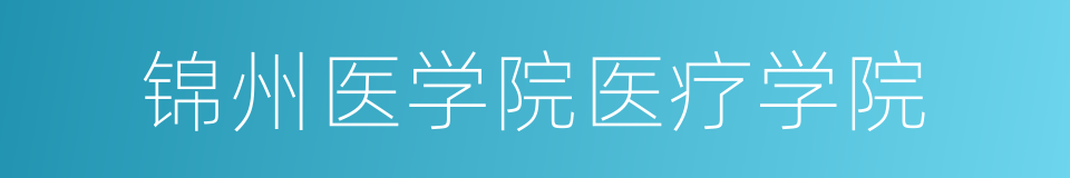 锦州医学院医疗学院的同义词