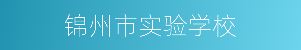 锦州市实验学校的同义词