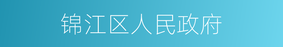 锦江区人民政府的同义词