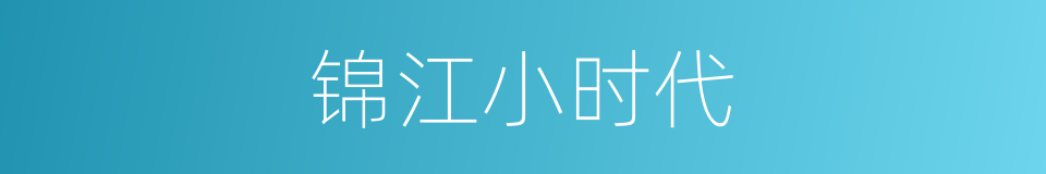 锦江小时代的同义词