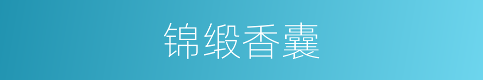 锦缎香囊的同义词